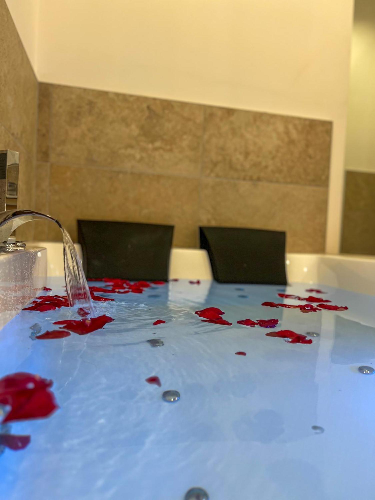 Apartament Bibemus Casa Maja - Baignoire Balneo - Parking - Terrasse Saint-Etienne  Zewnętrze zdjęcie