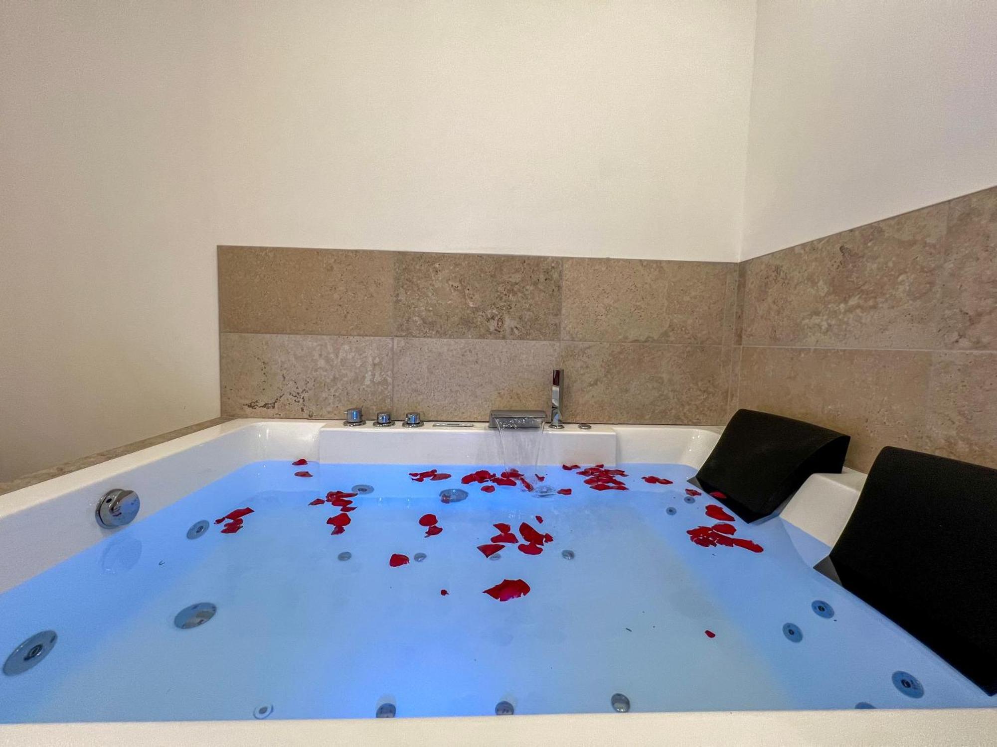 Apartament Bibemus Casa Maja - Baignoire Balneo - Parking - Terrasse Saint-Etienne  Zewnętrze zdjęcie